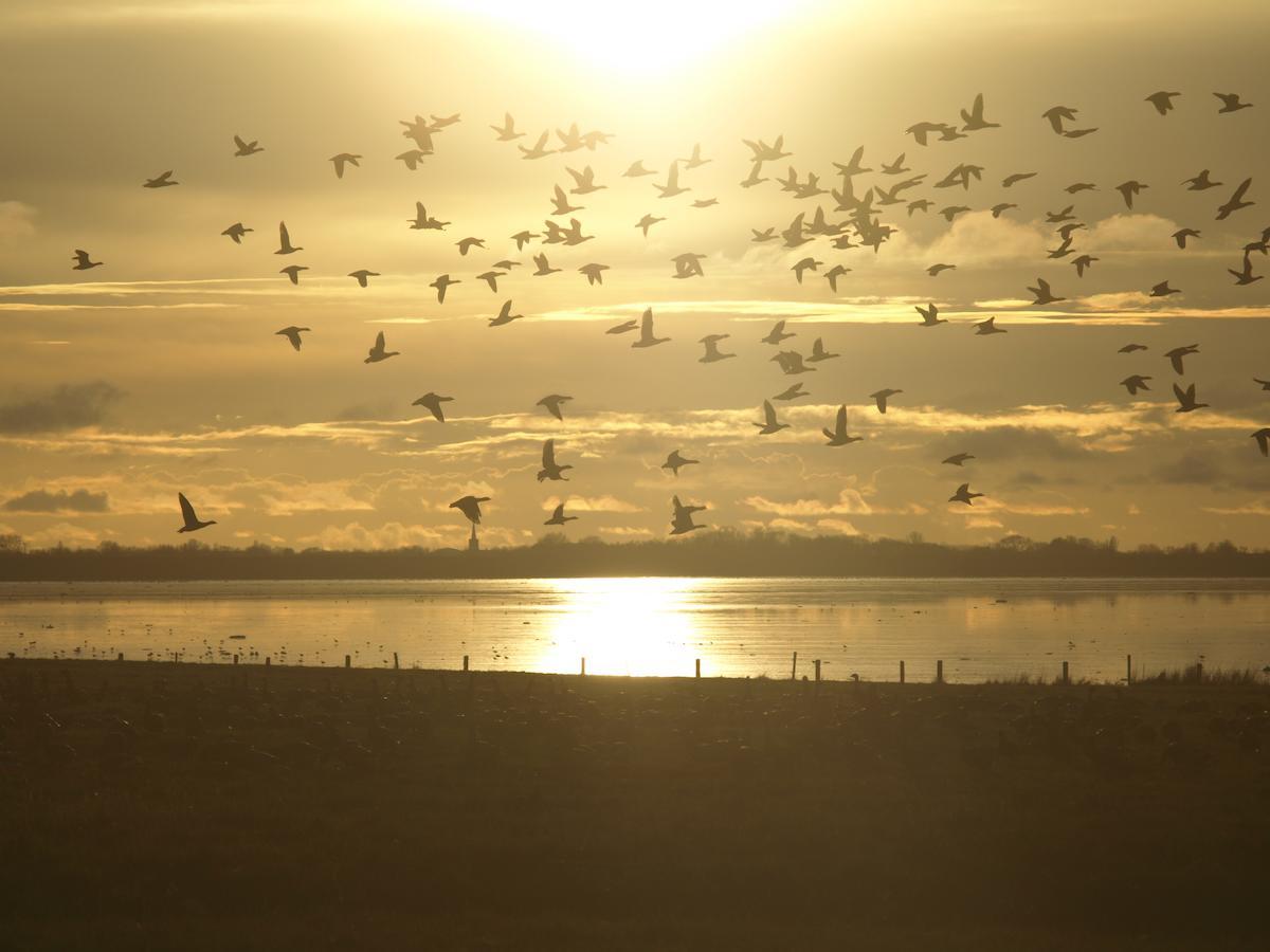 Vila Charme Logies Wad Zout 'T Westerland Exteriér fotografie