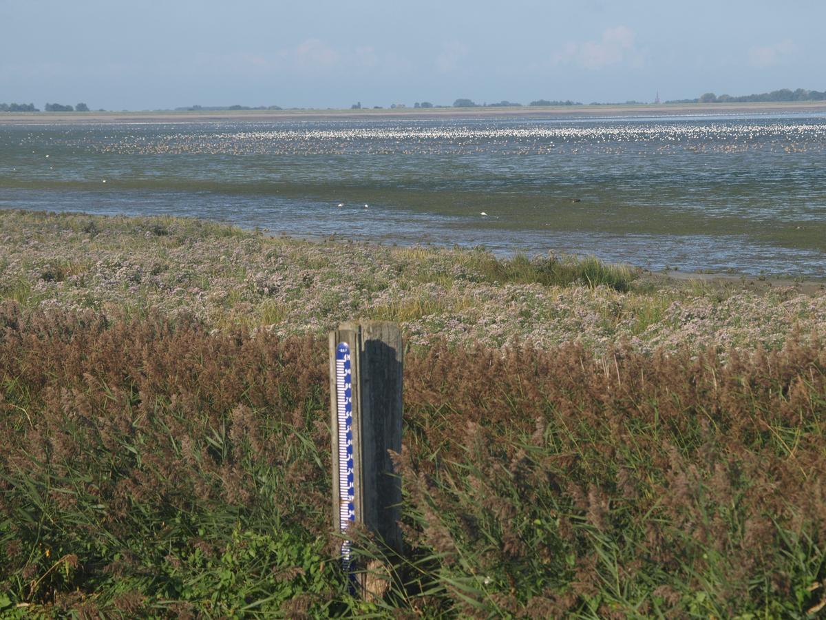 Vila Charme Logies Wad Zout 'T Westerland Exteriér fotografie