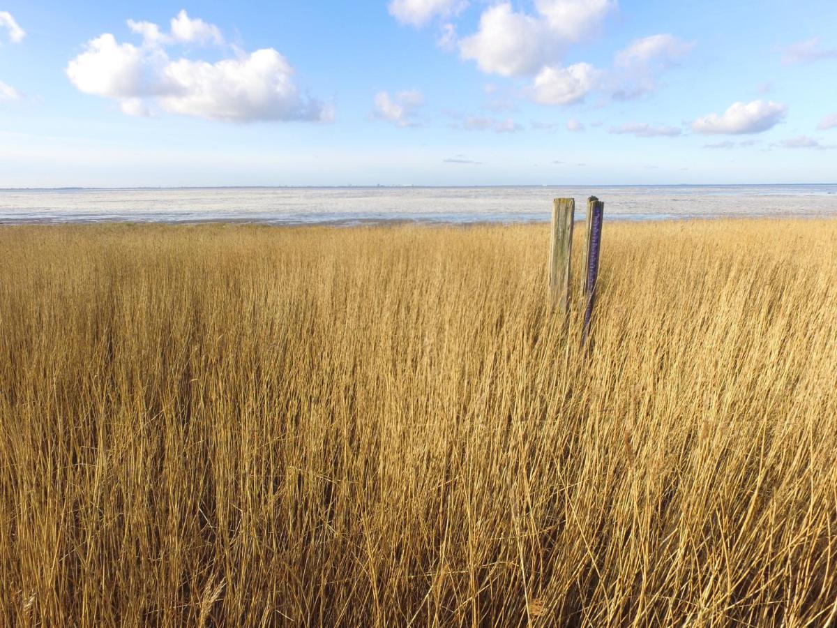 Vila Charme Logies Wad Zout 'T Westerland Exteriér fotografie